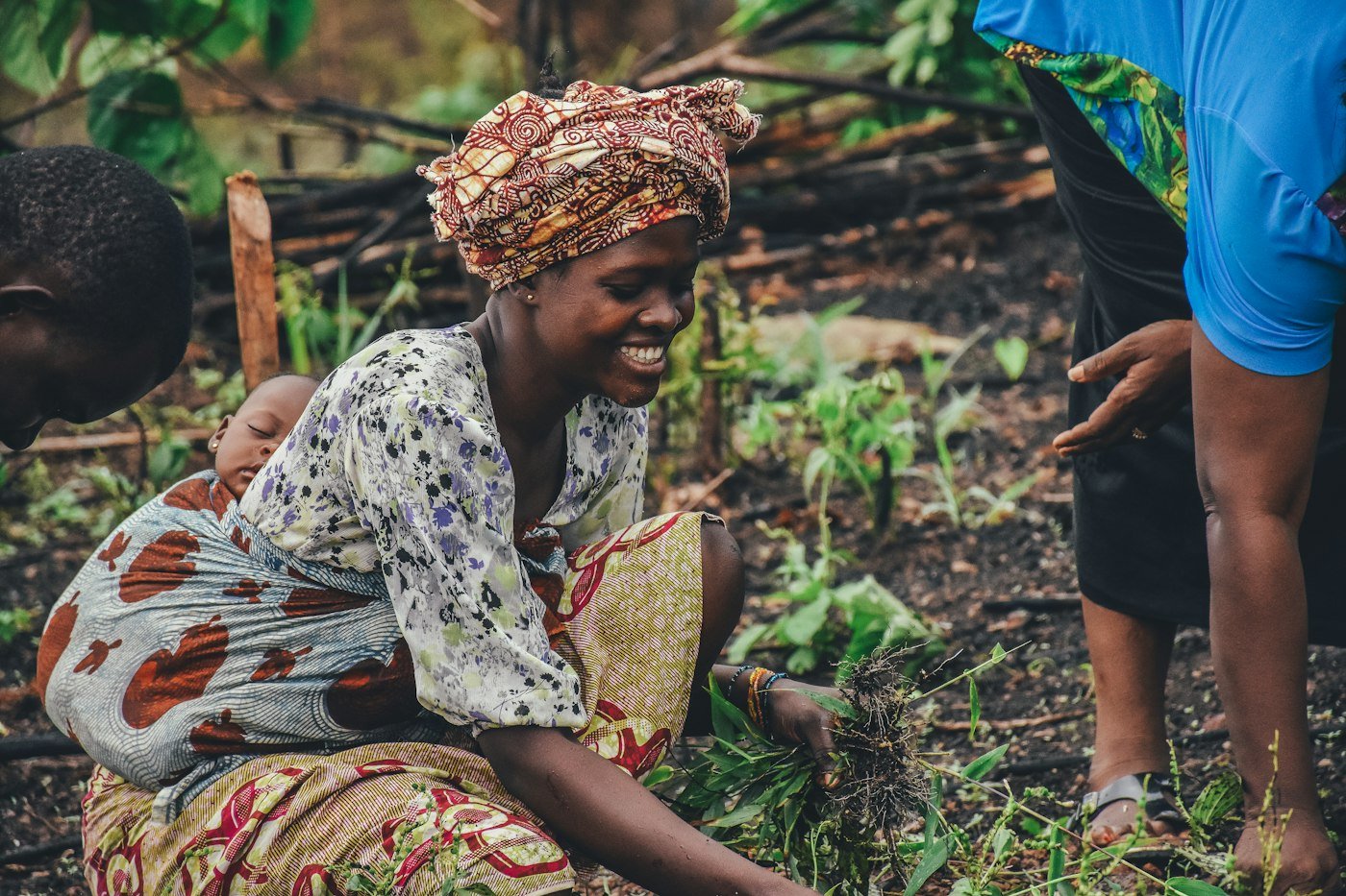 Agricultrice plantant de jeunes pousses