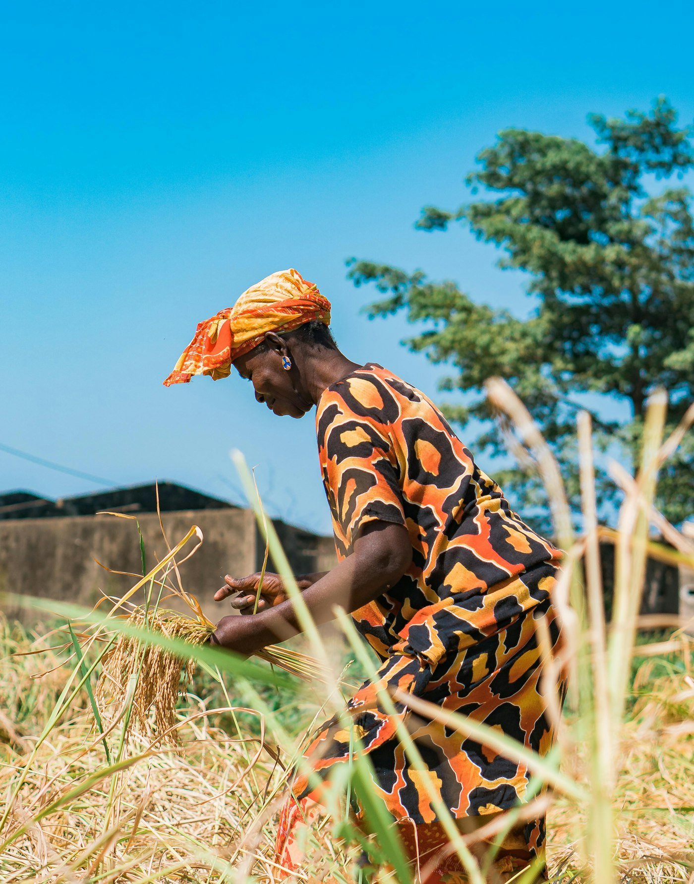 Agricultrice dans un champ au soleil