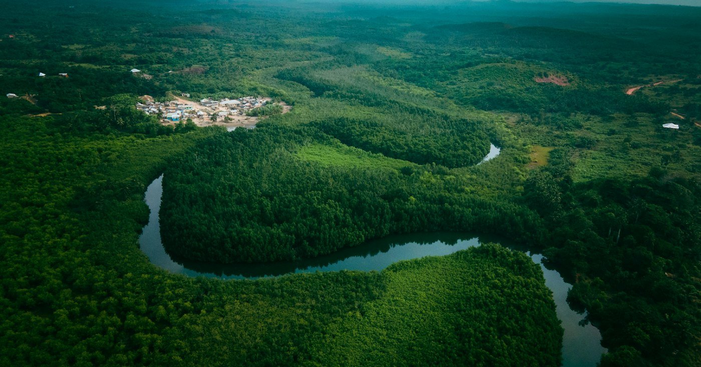 Rivière traversant une forêt dense vue du ciel