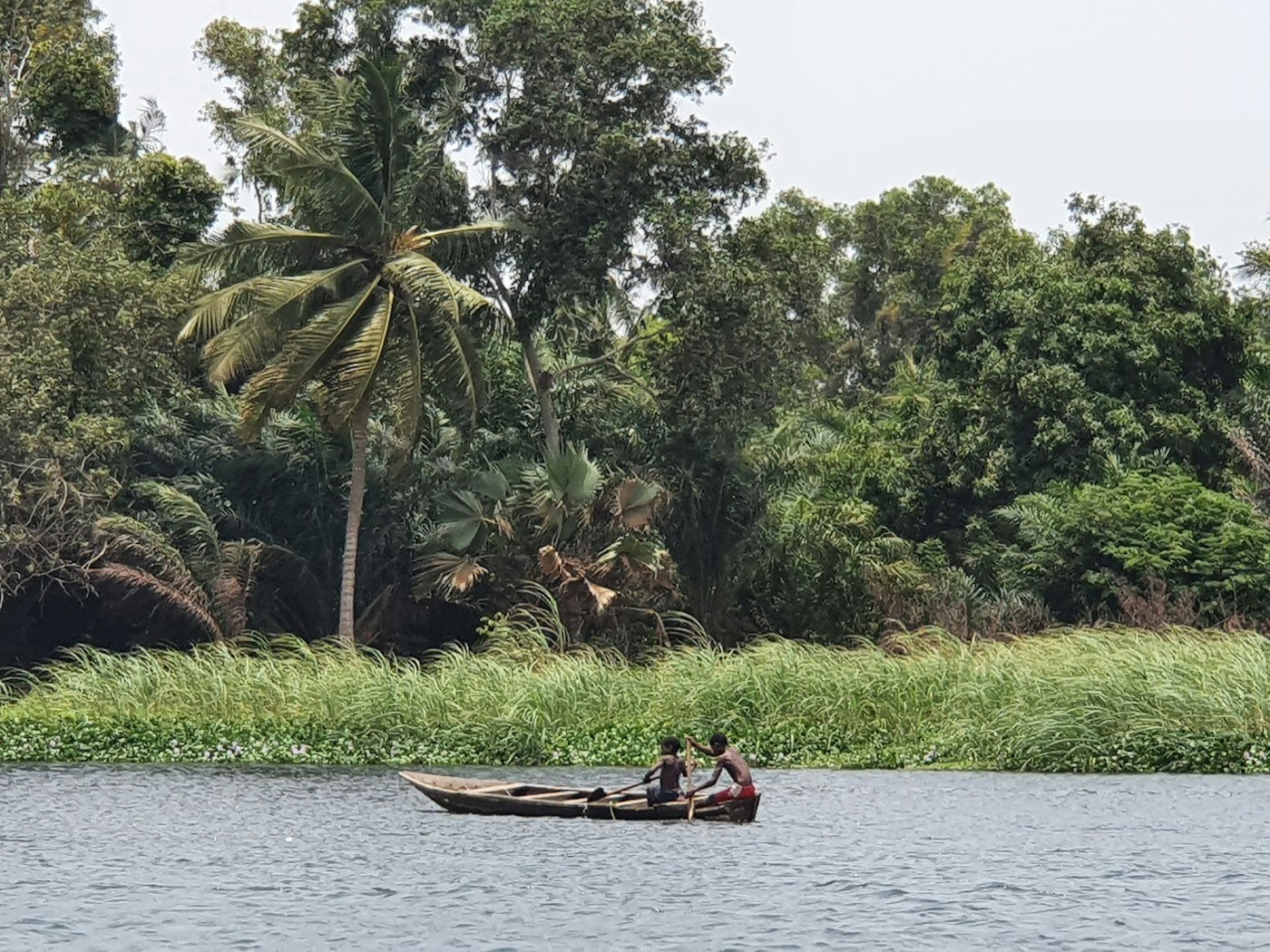 Pirogue sur une rivière bordée de palmiers en Afrique de l’Ouest