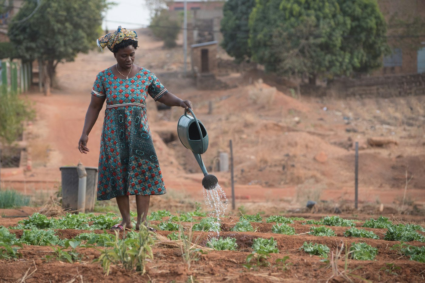 Femme arrosant son potager