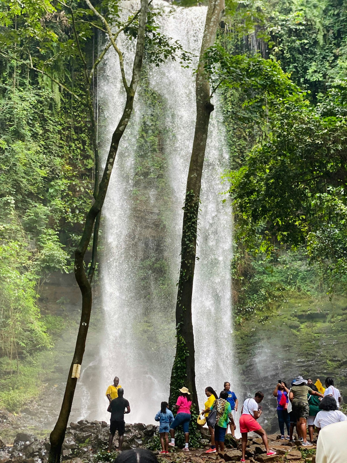 Cascade au cœur d’une forêt tropicale