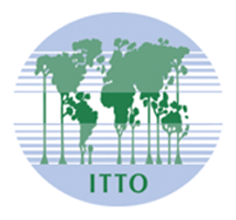 Logo de l’Organisation internationale des bois tropicaux (ITTO)