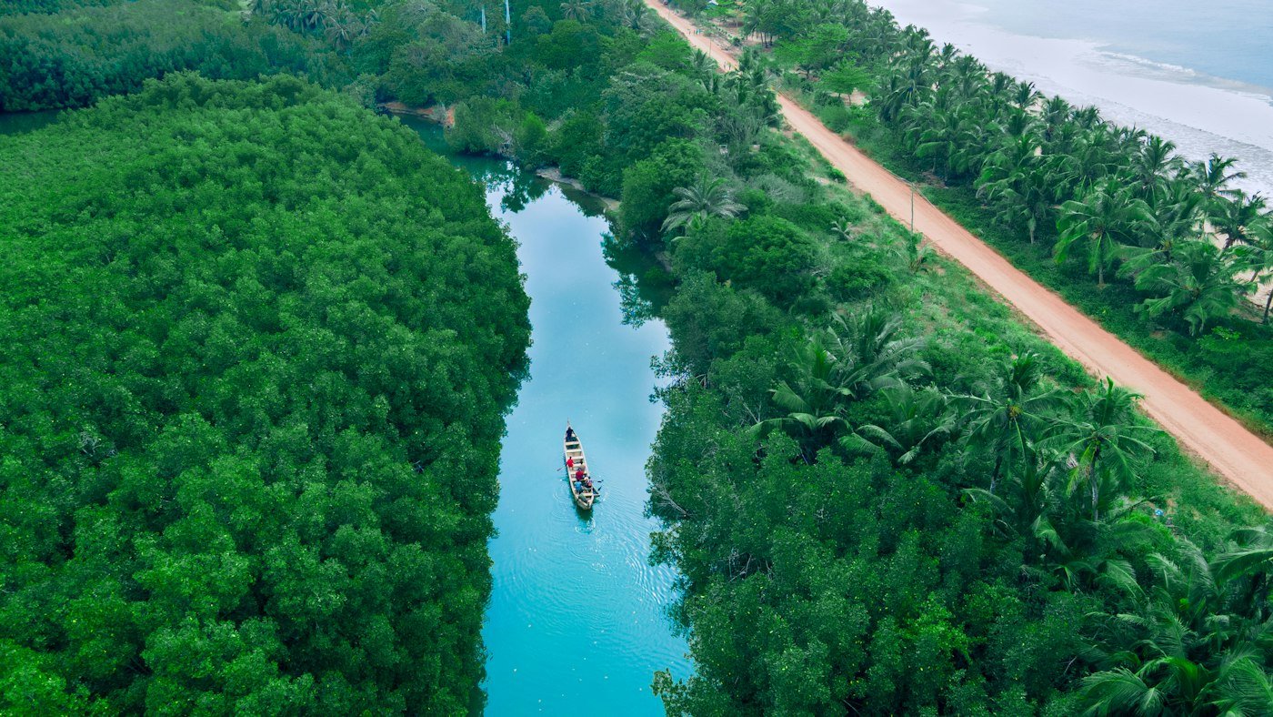 Pirogue sur une rivière traversant une forêt dense